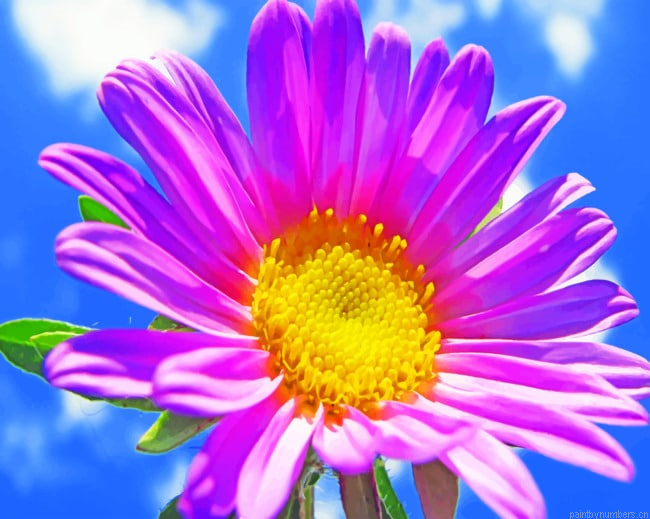 Spring Purple Flower Painting By Numberss.png