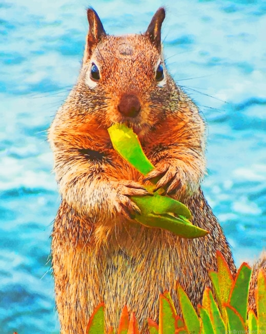 Squirrel Eating Leaves Animals Painting By Numberss.png