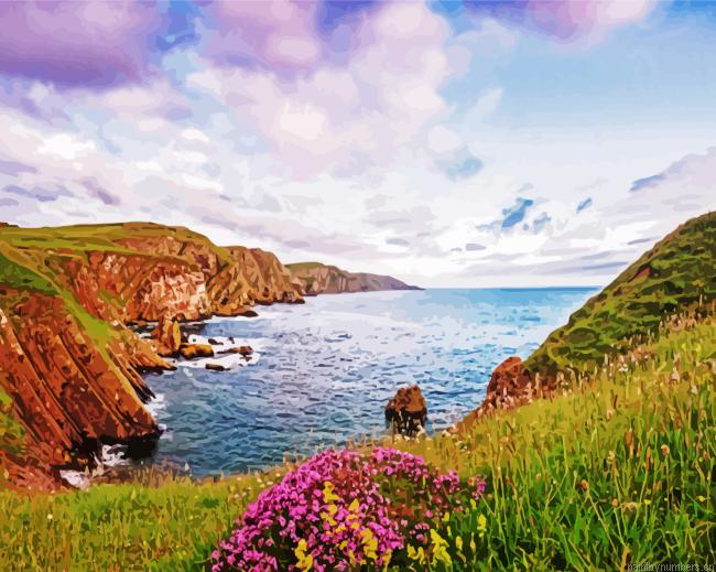 St Abbs Head Coldingham Painting By Numberss.png