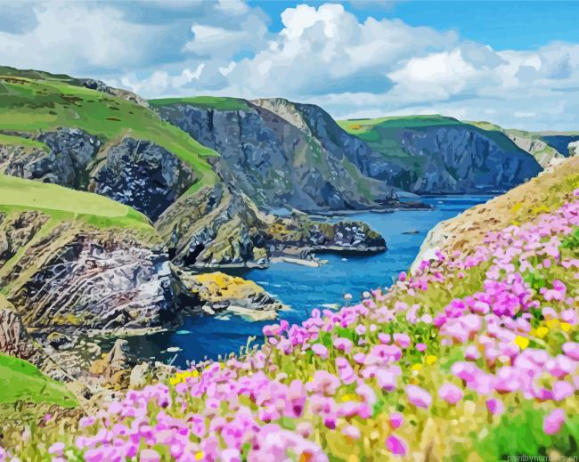 St Abbs Painting By Numberss.png