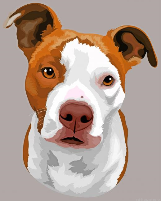 Staffy Dog Painting By Numberss.png