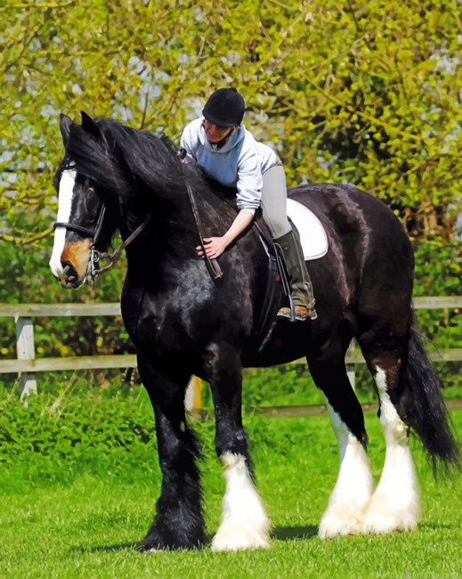 Stallion Black Horse Animals Painting By Numberss.png