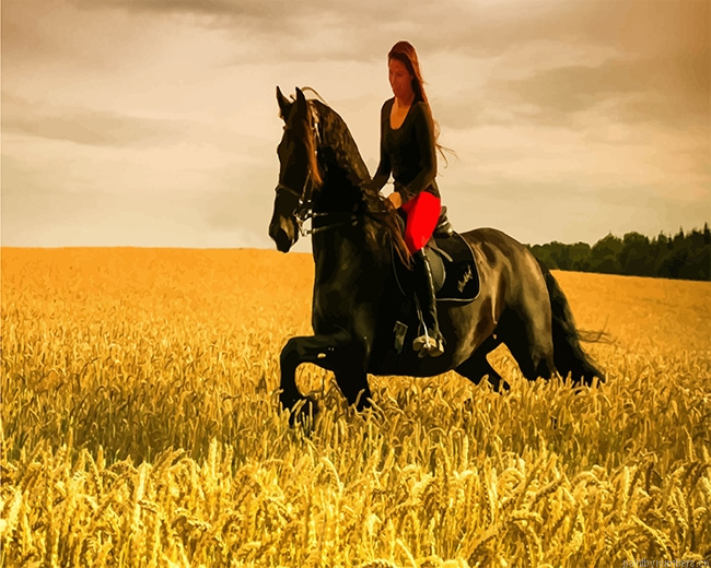 Stallion Horse Woman Cavalier Painting By Numberss.png