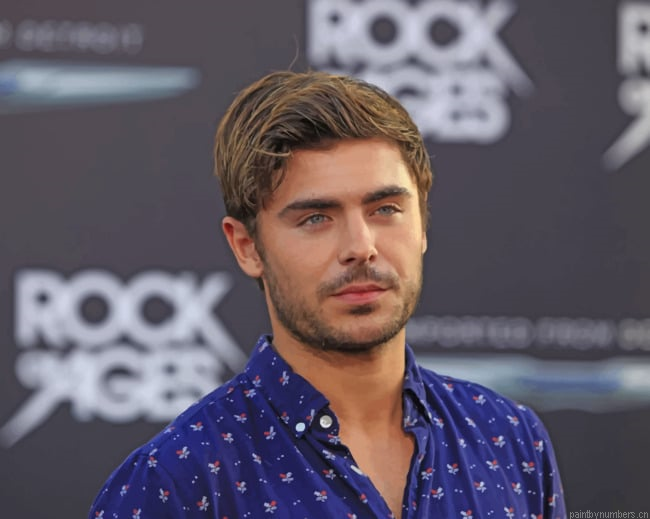 Star Zack Efron Actors Painting By Numberss.png