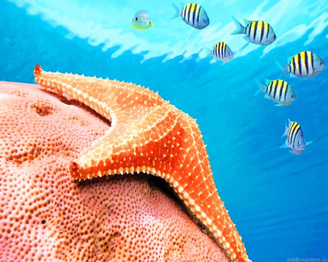 Starfish Deep In The Sea New Painting By Numberss.png