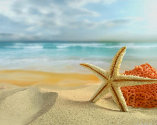 Starfish On Beach Sand Painting By Numbers.png