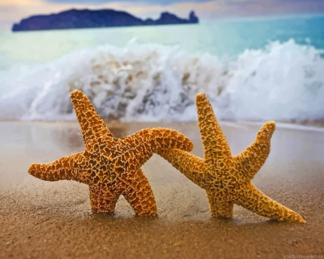 Starfishes In Beach Painting By Numberss.png