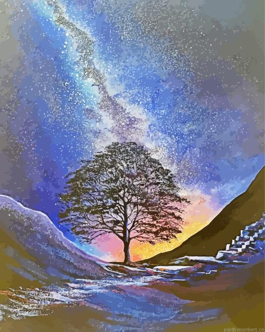 Starry Night Sycamore Gap Painting By Numberss.png
