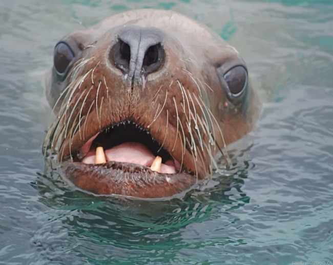 Stellar Sea Lion Wildlife Animals Painting By Numberss.png