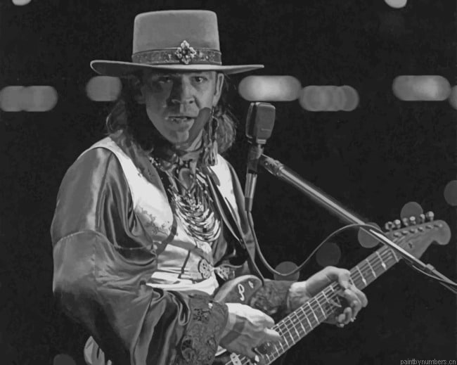 Stevie Ray Vaughan Painting By Numberss.png