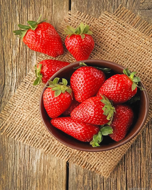 Strawberries Still Life Fruits Painting By Numbers.png