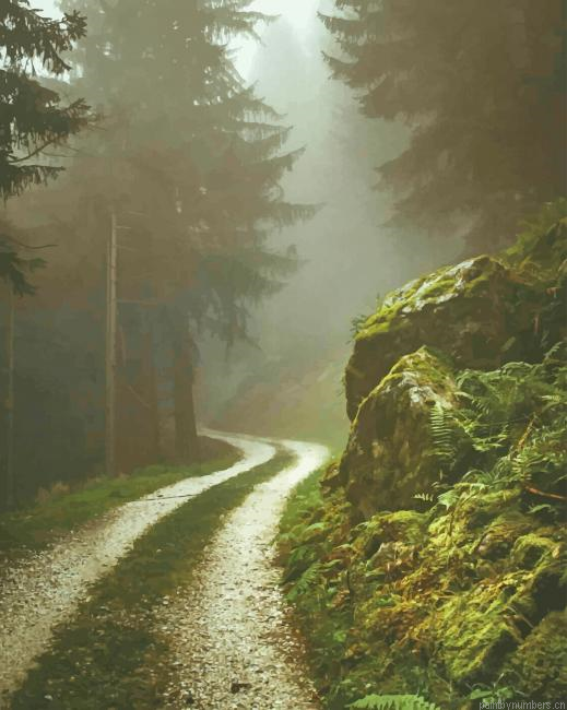 Street In Forest Painting By Numbers.png