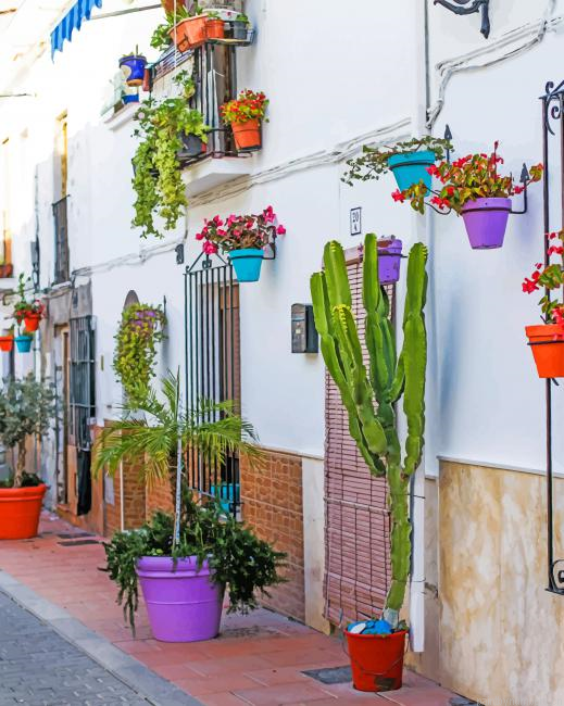 Streets Plants Flower Painting By Numberss.png