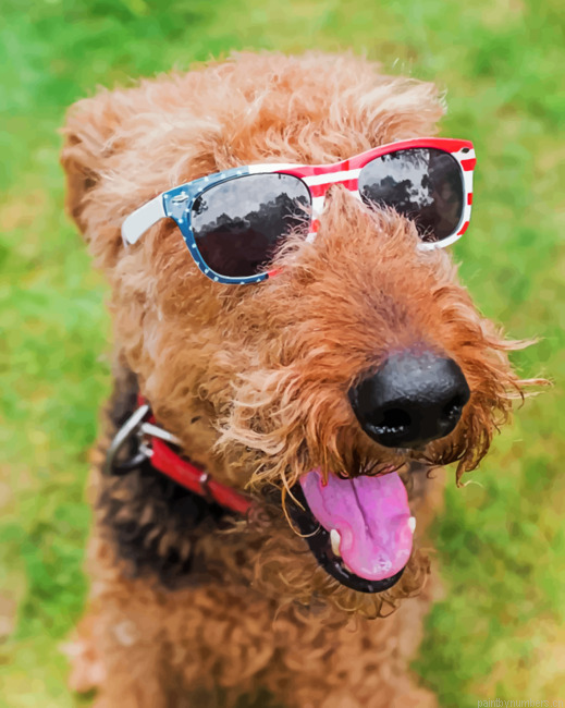 Stylish Airedale Terrier Painting By Numbers.png