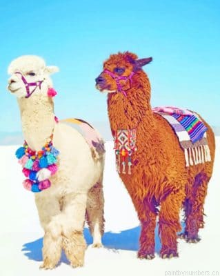 Stylish Alpacas Painting By Numberss.png
