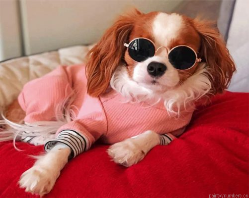 Stylish Cavalier Puppy Painting By Numbers.png