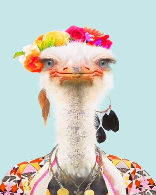Stylish Common Ostrich Birds Painting By Numberss.png