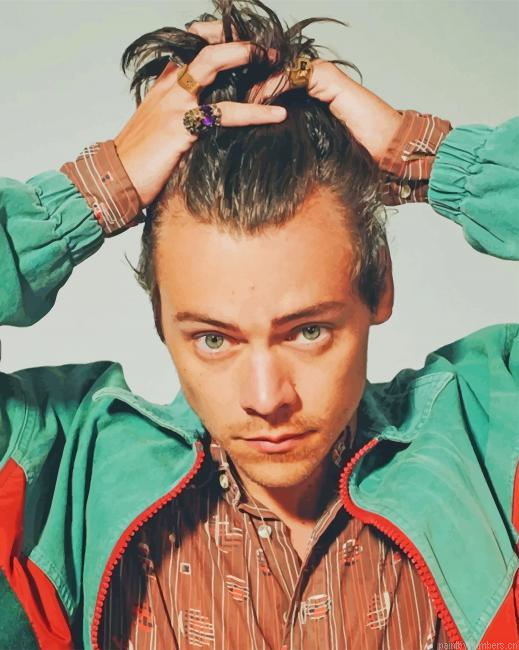 Stylish Harry Styles Singers Painting By Numberss.png