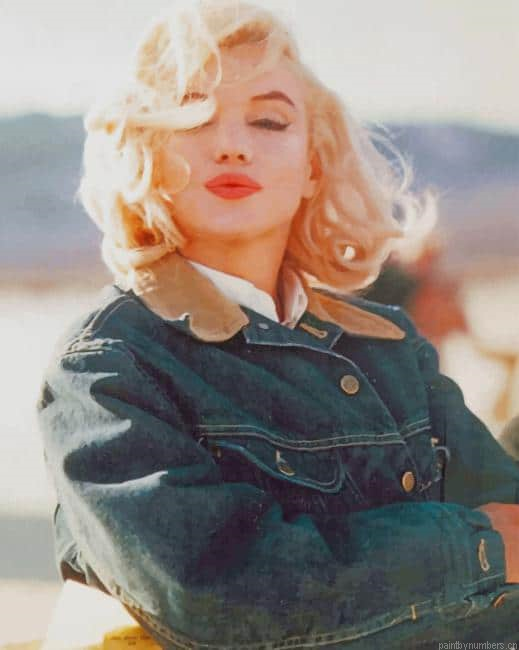 Stylish Marilyn Monroe Actors Painting By Numberss.png