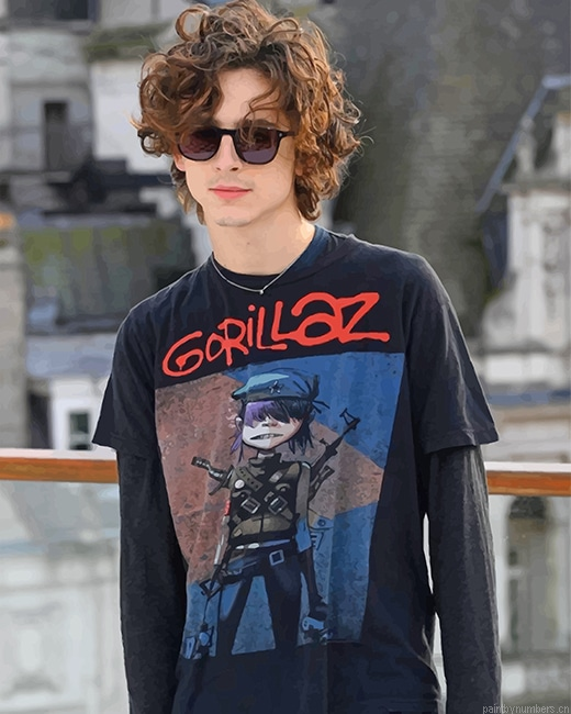 Stylish Timothee Chalamet Actors Painting By Numberss.png