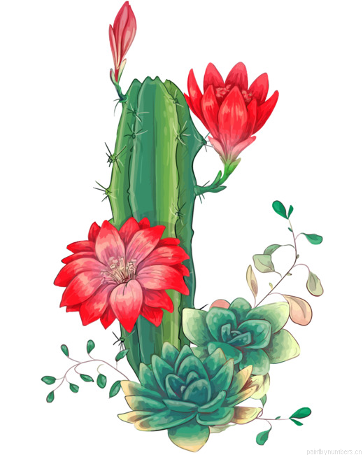 Succulents And Red Roses Painting By Numbers.png