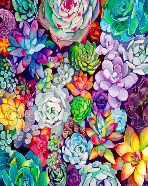 Succulents Plants Painting By Numbers.png