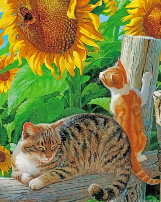 Sunflower And Cats Painting By Numberss.png