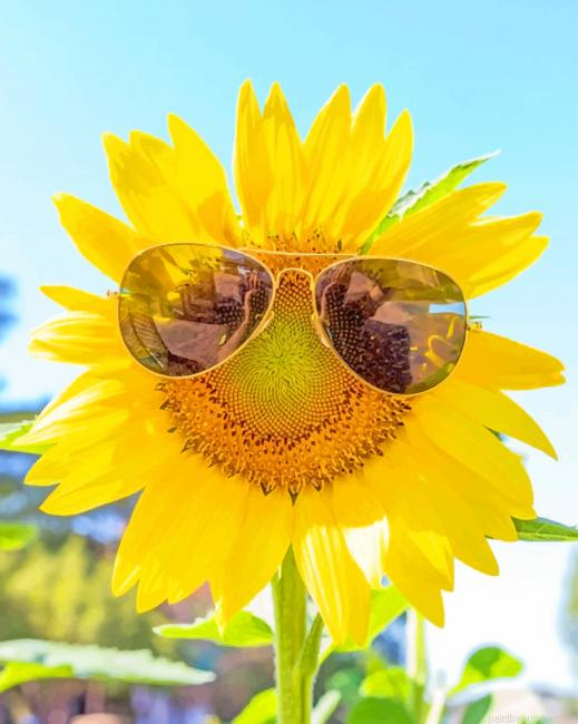 Sunflower Wearing Sunglasses Painting By Numberss.png
