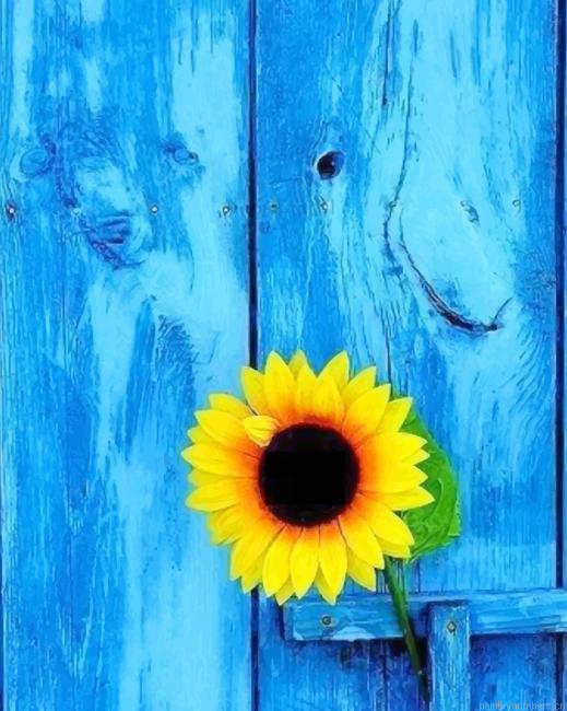 Sunflower With Blue Door Painting By Numberss.png