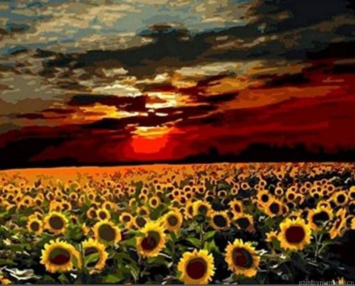 Sunflowers Field Landscape Painting By Numbers.png