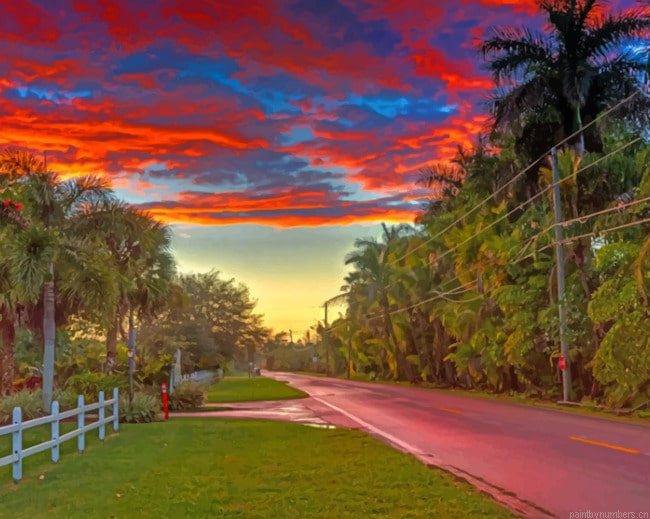 Sunset And Trees Landscapes Painting By Numberss.png