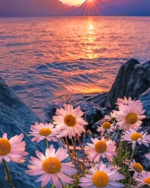 Sunset At Beach Seascapes Painting By Numberss.png