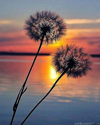 Sunset Dandelion Painting By Numbers.png