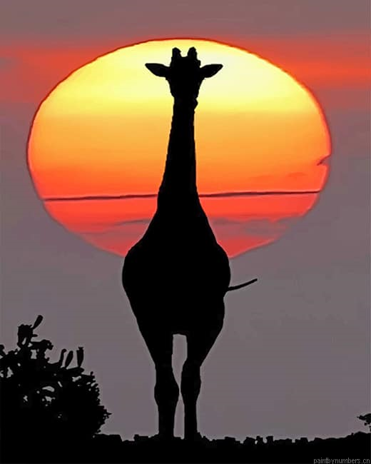 Sunset Giraffe Silhouette New Painting By Numbers.png