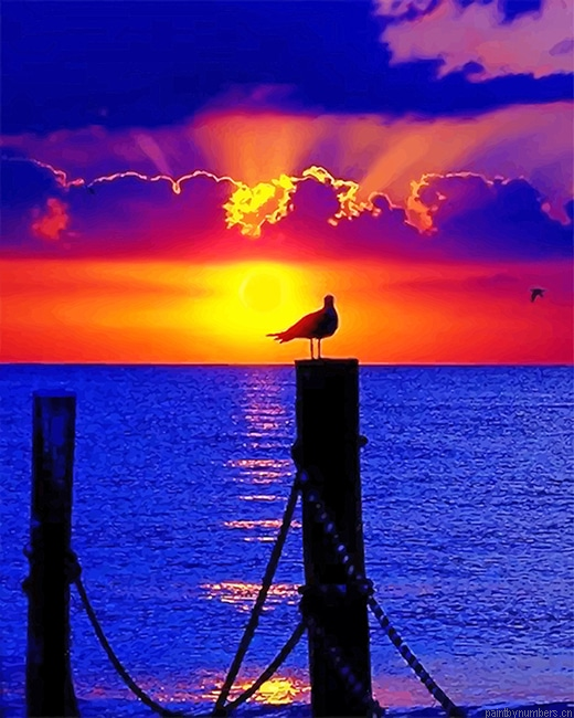 Sunset Pigeon Silhouette Birds Painting By Numberss.png