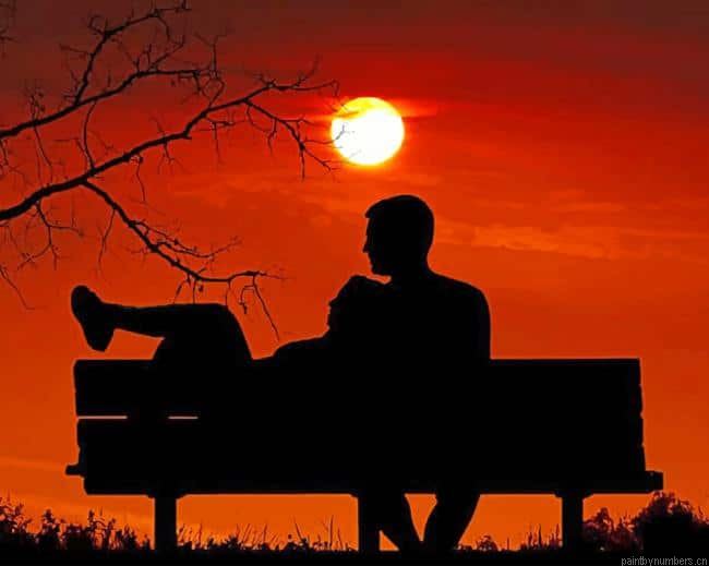 Sunset Romantic Couple Silhouette Painting By Numberss.png