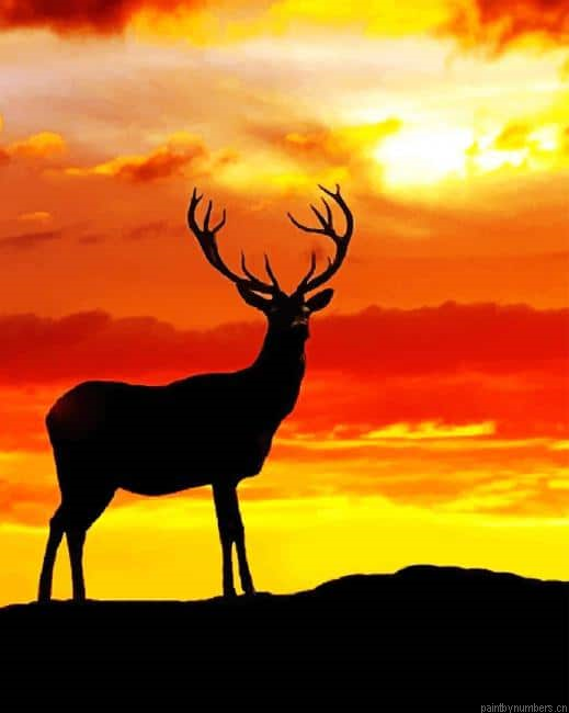 Sunset Silhouette Deer Animals Painting By Numberss.png