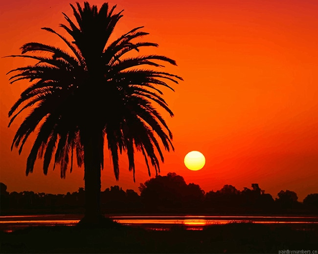Sunset Tree Silhouette Painting By Numbers.png