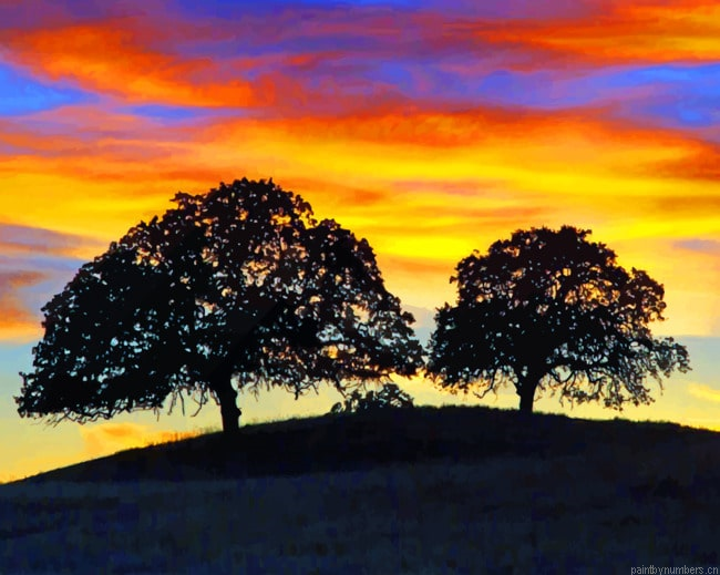 Sunset Trees Silhouette Painting By Numberss.png