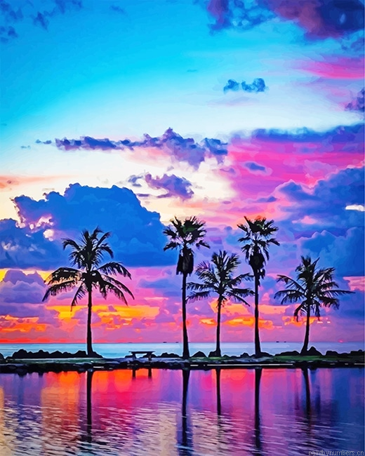 Sunset View Palms Landscapes Painting By Numberss.png
