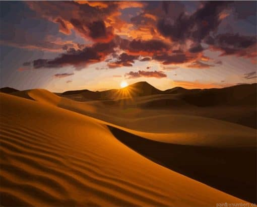 Sunset In The Desert Landscape Painting By Numbers.png
