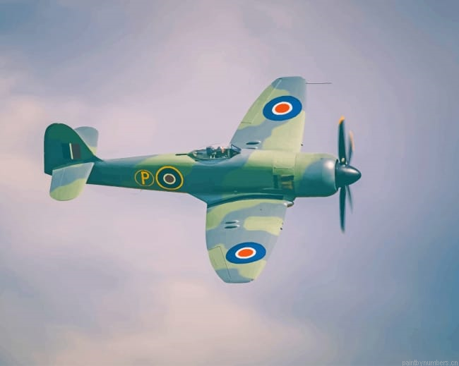 Supermarine Spitfire Aircraft Painting By Numberss.png