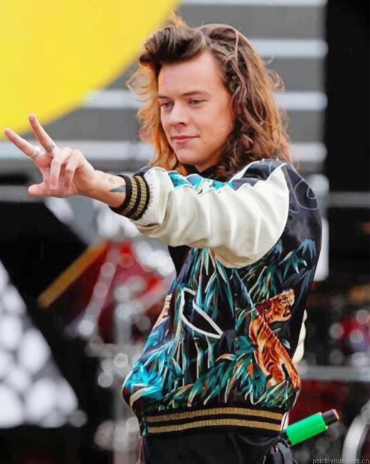 Swaggy Harry Styles Singers Painting By Numberss.png