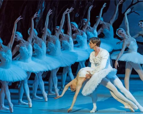 Swan Lake Painting By Numbers.png