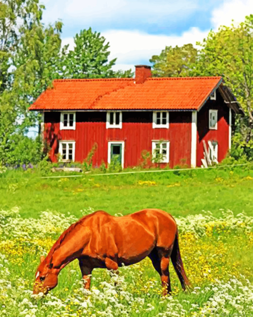 Sweden Farm Painting By Numbers.png