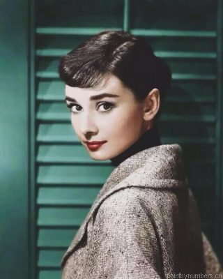 Sweet Audrey Hepburn Painting By Numbers.png