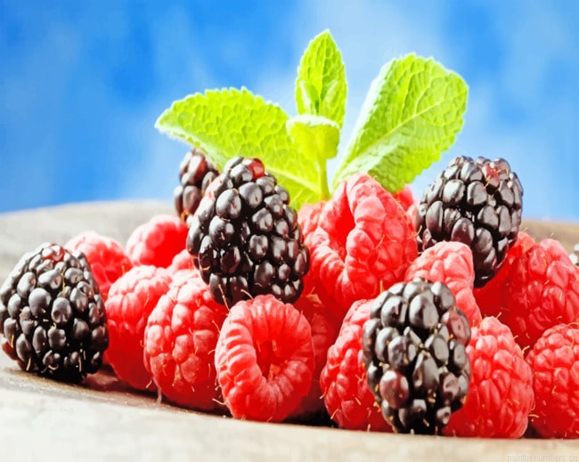Sweet Berries Fruit Painting By Numberss.png
