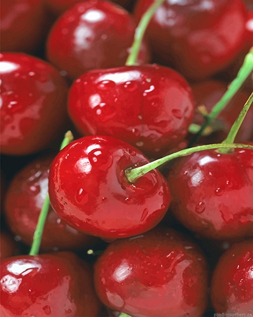 Sweet Cherry Fruits Painting By Numberss.png