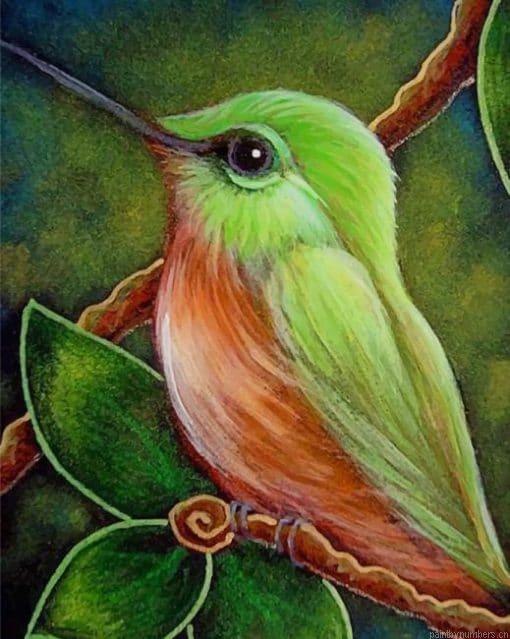 Sweet Hummingbird Painting By Numberss.png
