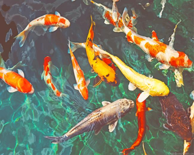 Swimming Colorful Koi Fish Painting By Numberss.png